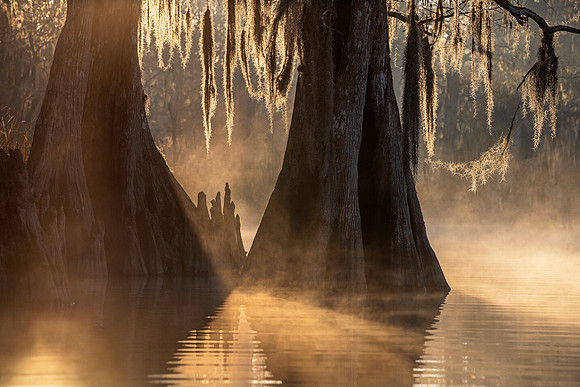 Primordial Light