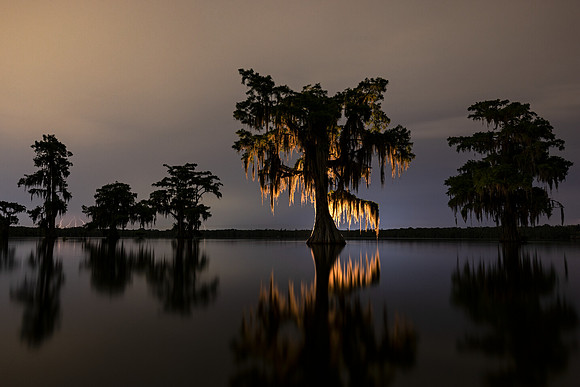 Shine Out of Darkness