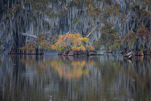 A Pinch of Fall