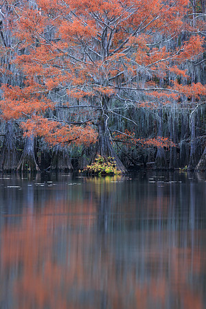 Autumn's Finest