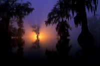 Beckoning