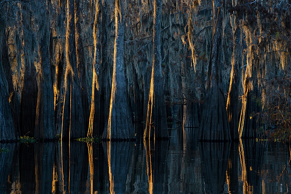 Threads of Gold