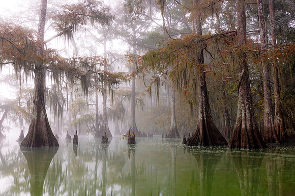 Green Waters