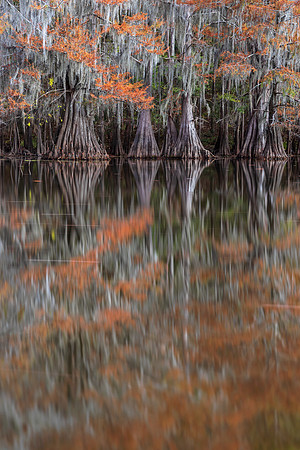 Rusted Reflection