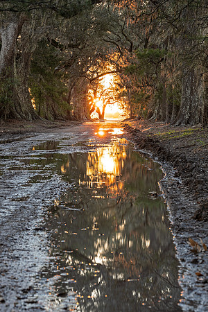 Fire Alley