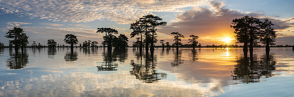R_CR0A9926fix3-Pano