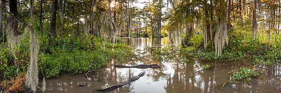 R_CR0A1108fix-Pano