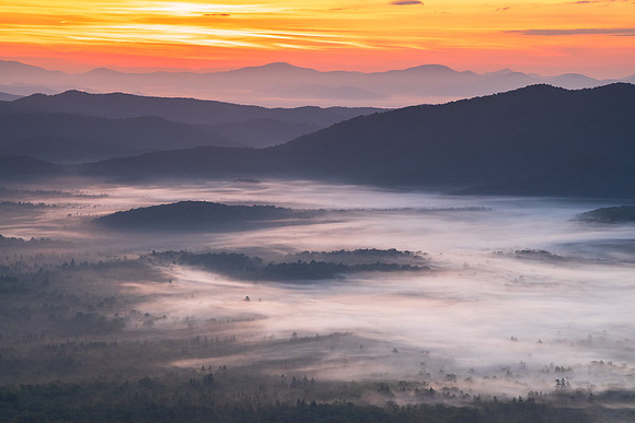 Purple Mountain Majesty