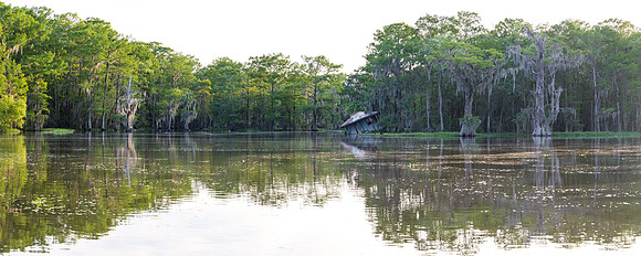 Forgotten in Bayou Grosbec