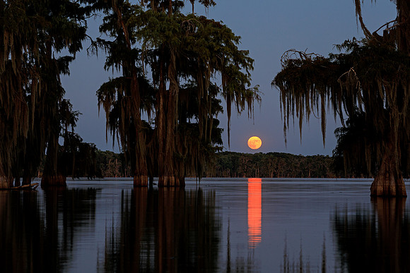 Once in a Super Blue Moon