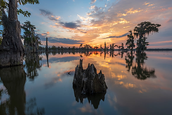 Promises of a New Day