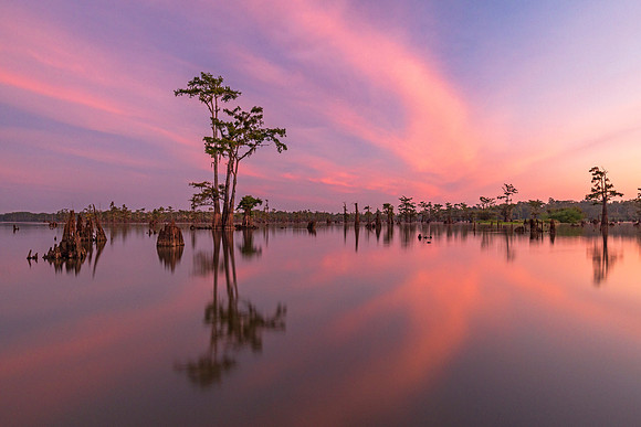 Atchafalaya Fireworks