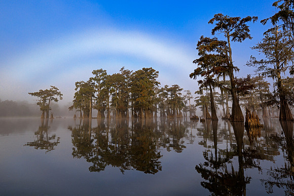 Fogbow