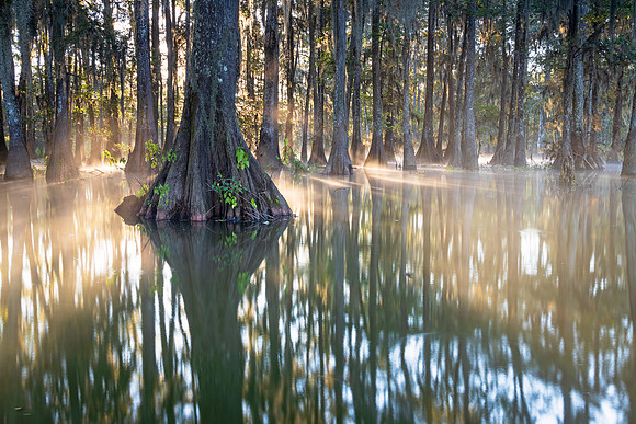 Glowing Waters