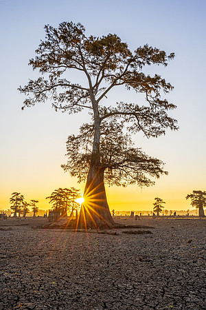 Sunrise on the Flats