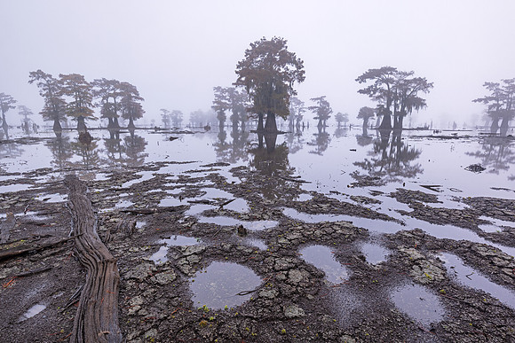 Atchafalaya Potholes