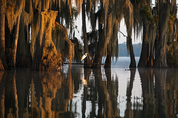 Lonely Fisherman