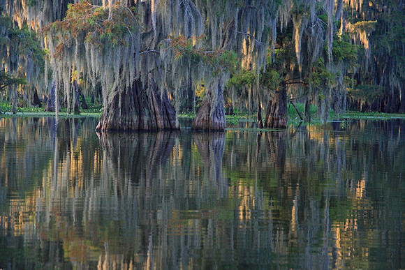 Late Summer Reflections
