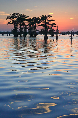 Psychedelic Sunset