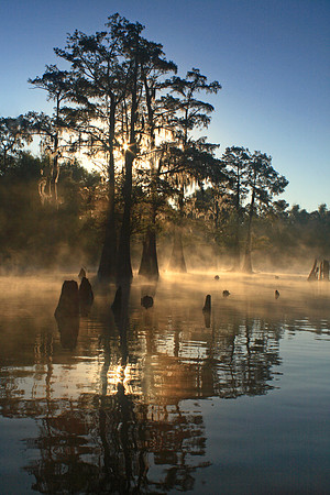 Bayou Benoit Sunrise