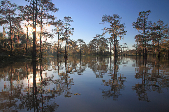 Autumn in Bayou Benoit