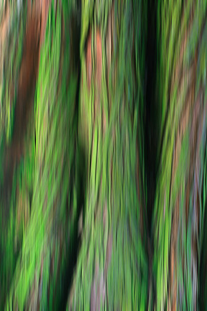 Green and Rust