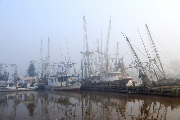 Morning at the Dock