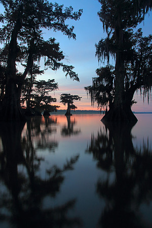 First Light on Lake Fausse Pointe