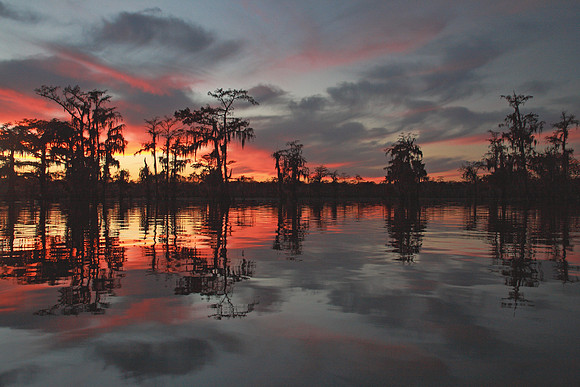 Fading Light