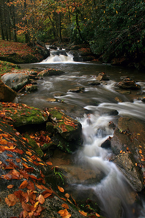 Trout Creek