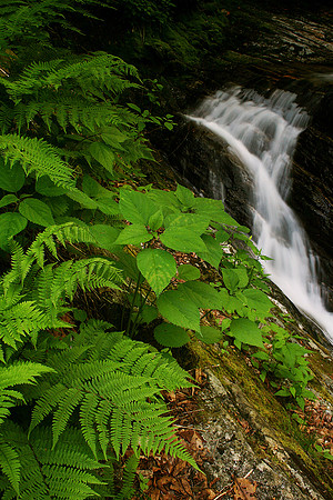 Skinny Dip Falls