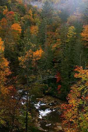 West Fork Tuckasegee River