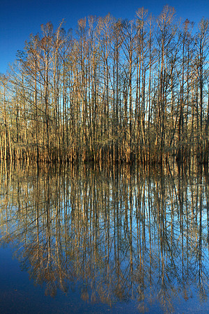 Lake Iatt