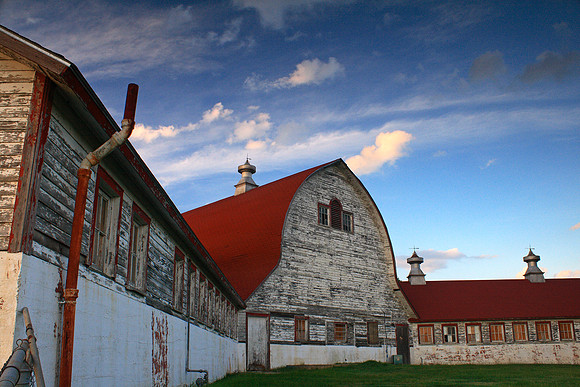 Dairy Barn