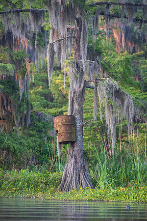 Barrel Blind