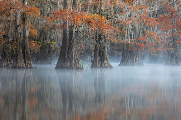 In Search of Fall