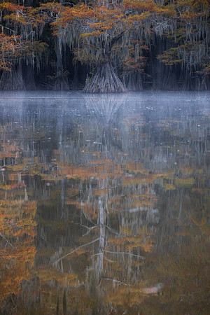 Grandmother’s Reflection