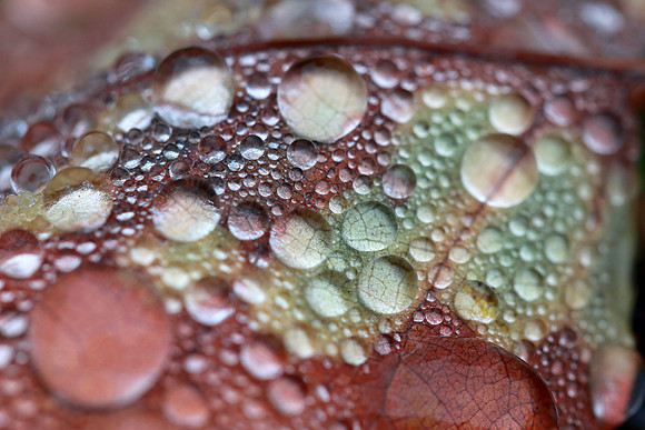 Droplets
