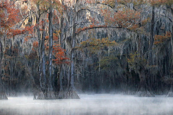 The Mist Rises