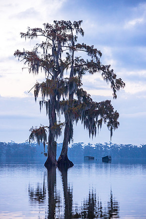 Duck Hunting Blues