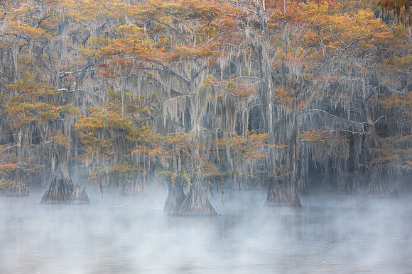 Floating on a Lake of Clouds