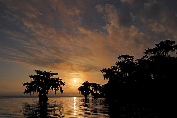 Good Morning Atchafalaya