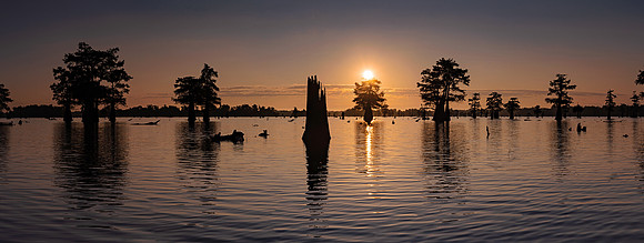 Atchafalaya Spotlight