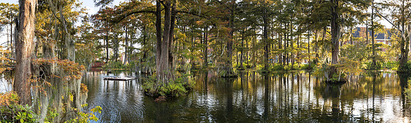 Cypress Lake
