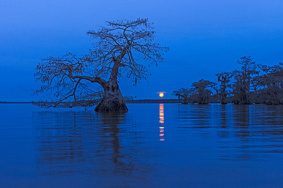 Cold Moon
