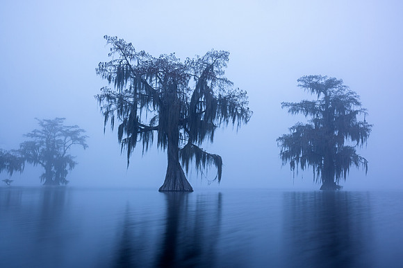 Apparitions of the Mist