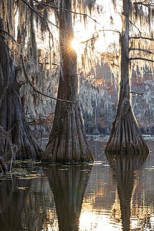 Mill Pond Sunrise