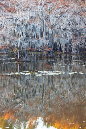 Autumn Reflected