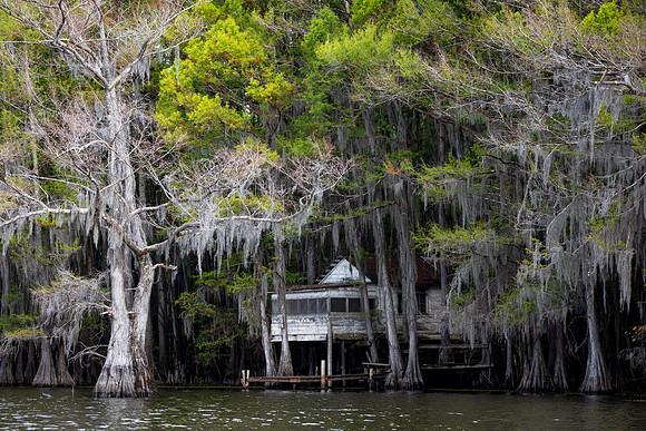 Caddo Tea Room