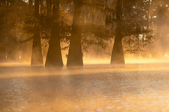 Fire Water